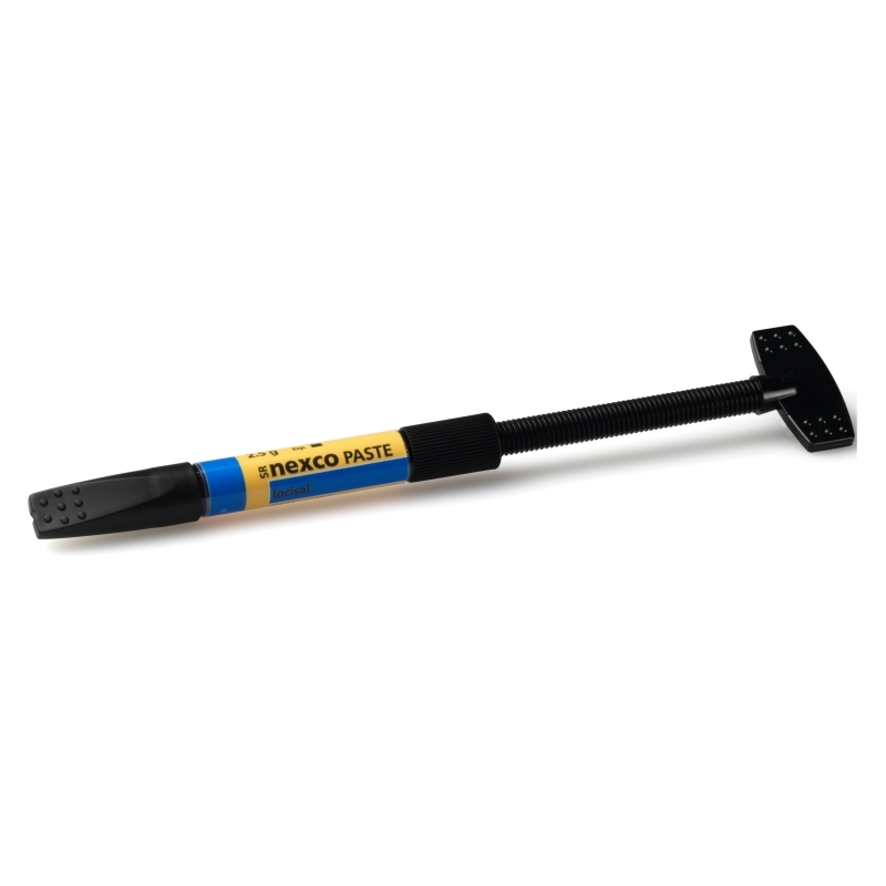 SR NEXCO PASTE INCISAL 2.5G I2